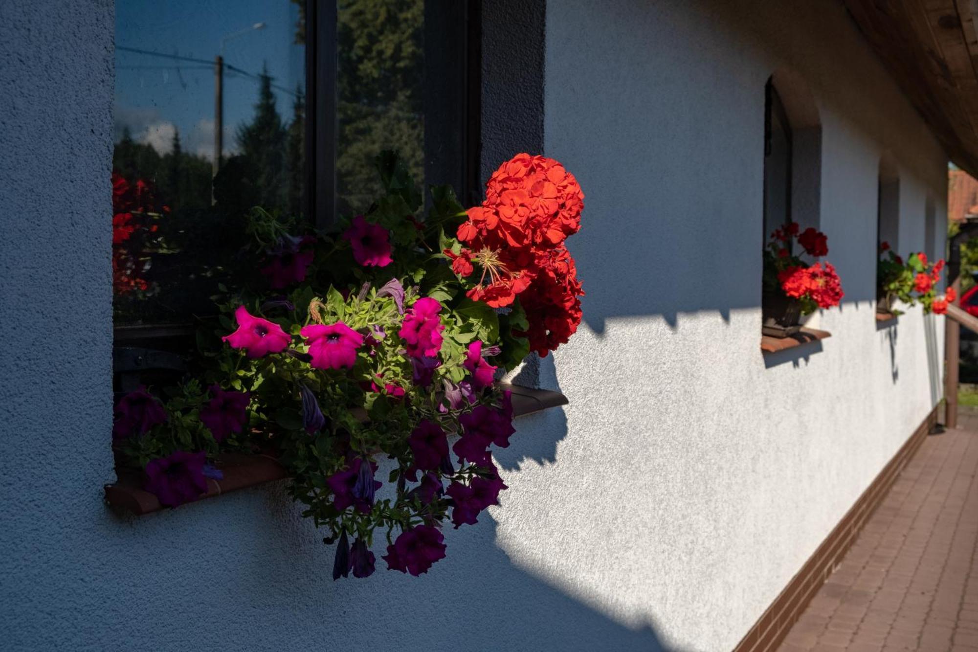 Siedlisko Leszczewek Villa Exterior photo